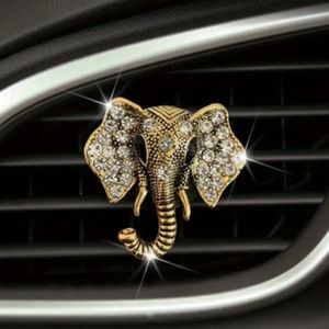 Car Accessory & Air Freshener